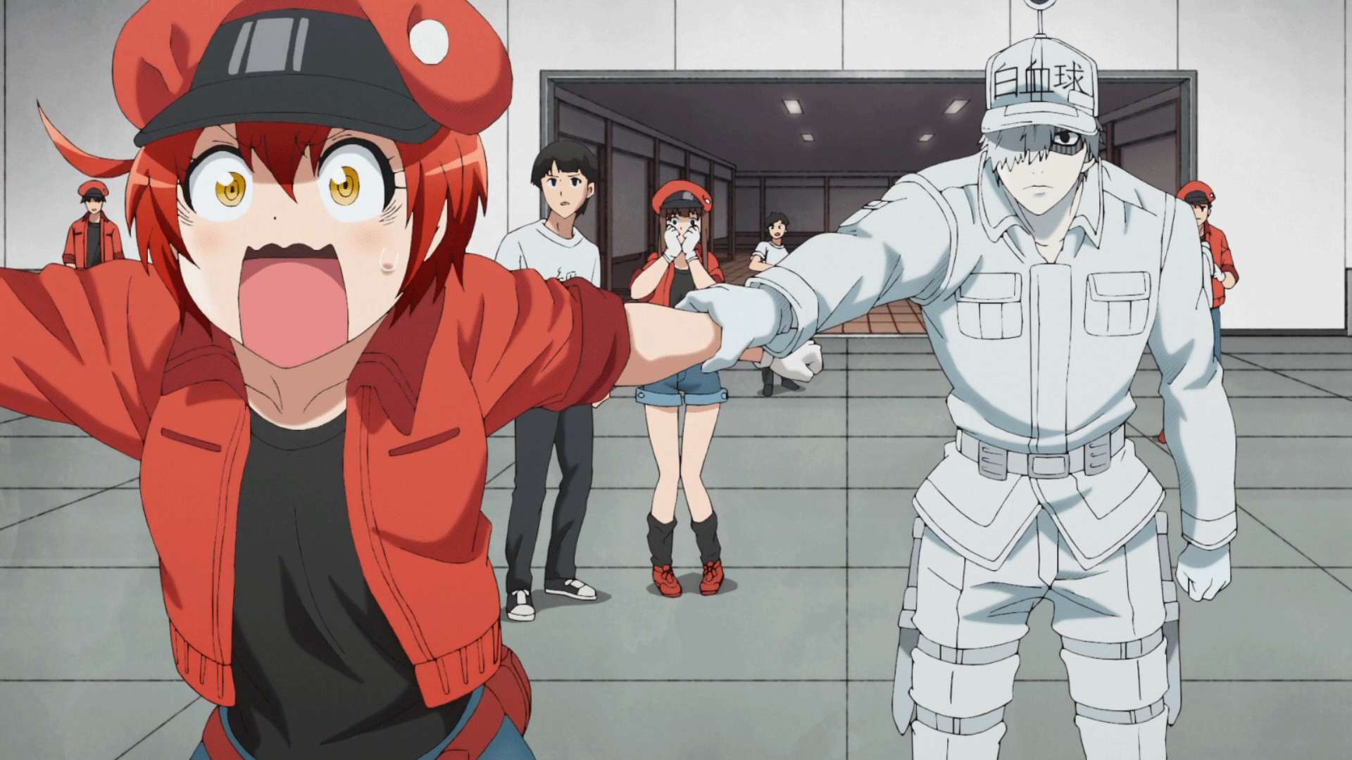 cells at work!