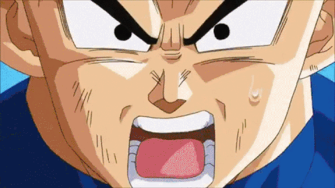 vegeta [dbz]